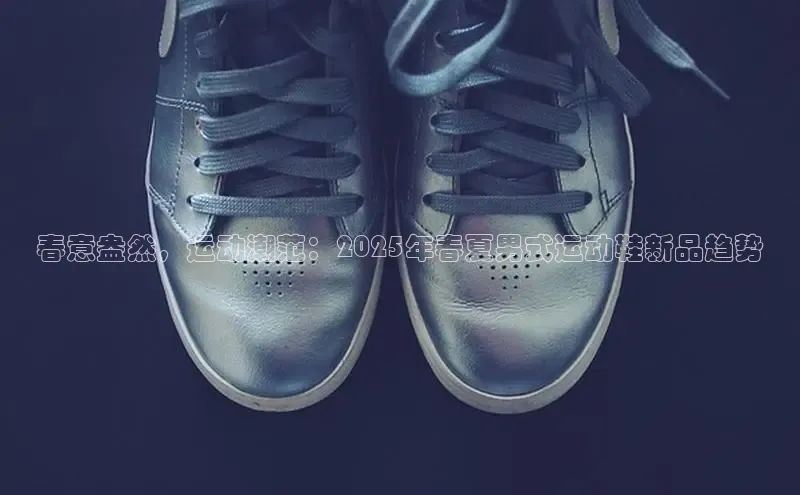 XCSport网页版入口