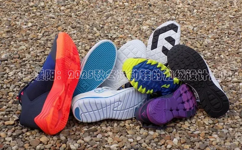 XCSport网页版入口