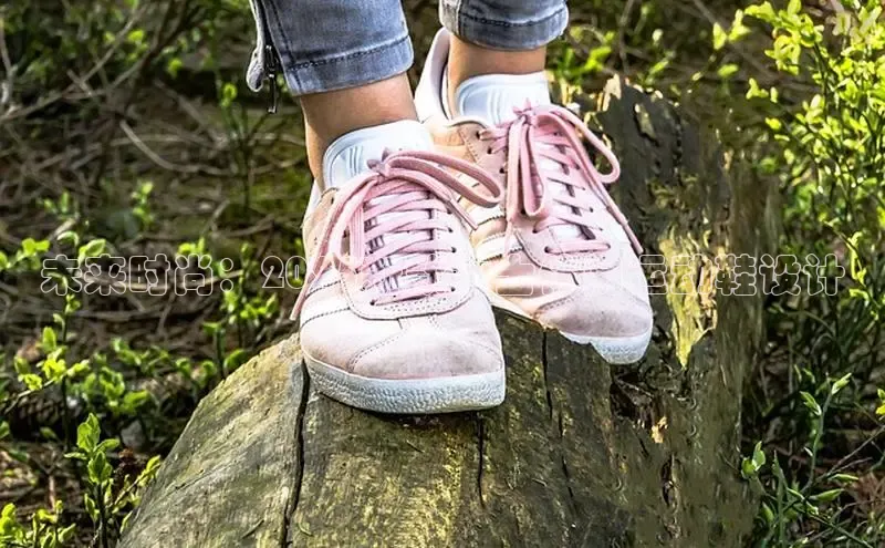 XCSport网页版入口